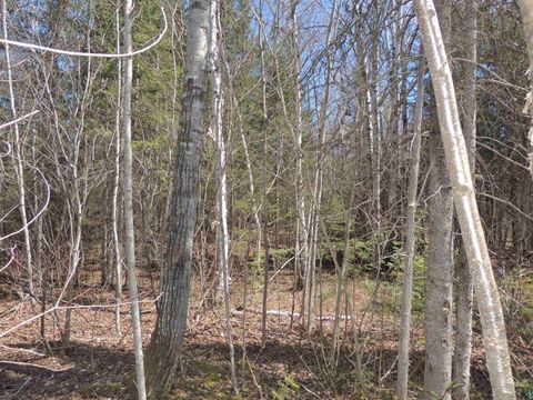 Tiny photo for 76 Gunflint Tr, Grand Marais, MN 55604 (MLS # 6125140)