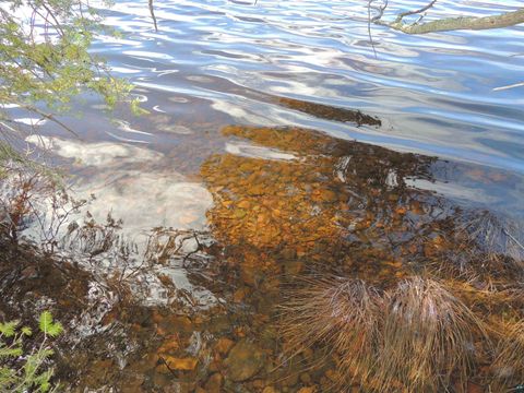 Tiny photo for 76 Gunflint Tr, Grand Marais, MN 55604 (MLS # 6125140)