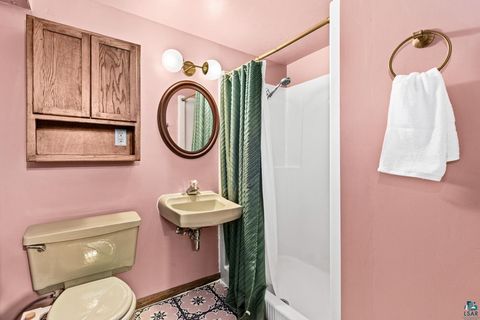 Tiny photo for 2009 Hutchinson Rd, Duluth, MN 55811 (MLS # 6124408)