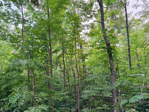Tiny photo for TBD Old Ferry Rd, Hinckley, MN 55037 (MLS # 6127225)