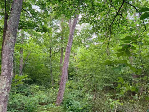 Tiny photo for TBD Old Ferry Rd, Hinckley, MN 55037 (MLS # 6127225)