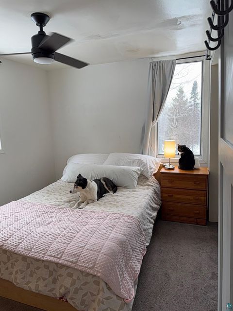 Tiny photo for 516 Elk St, Duluth, MN 55803 (MLS # 6124411)