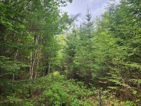 Tiny photo for XXX Cascade Bluffs, Grand Marais, MN 55604 (MLS # 6126230)
