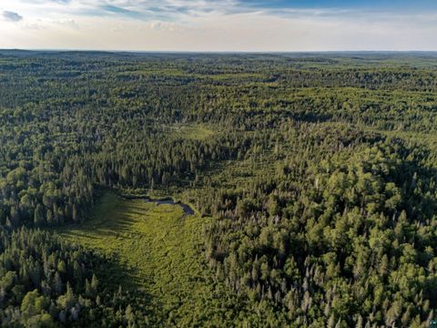 Tiny photo for TBD Hoist Lake Rd, Finland, MN 55603 (MLS # 6126975)