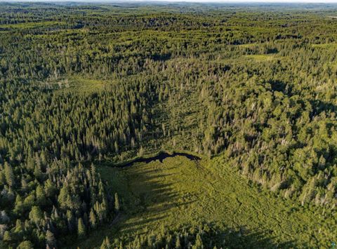 Tiny photo for TBD Hoist Lake Rd, Finland, MN 55603 (MLS # 6126975)