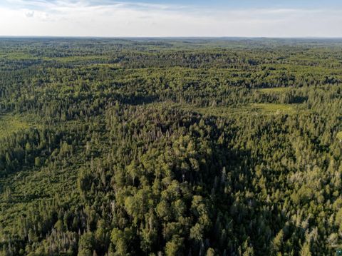 Tiny photo for TBD Hoist Lake Rd, Finland, MN 55603 (MLS # 6126975)