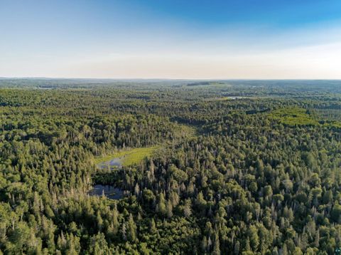 Tiny photo for TBD Hoist Lake Rd, Finland, MN 55603 (MLS # 6126975)