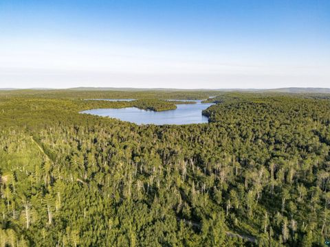 Tiny photo for TBD Hoist Lake Rd, Finland, MN 55603 (MLS # 6126975)