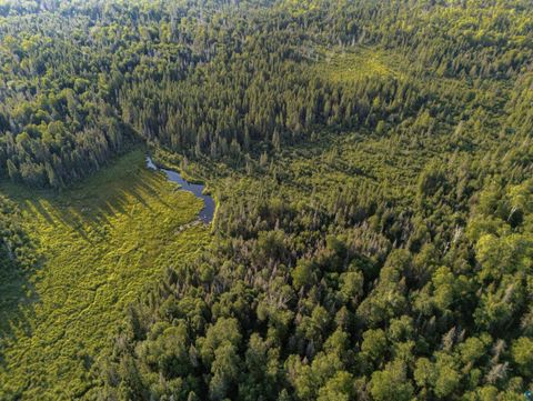 Tiny photo for TBD Hoist Lake Rd, Finland, MN 55603 (MLS # 6126975)