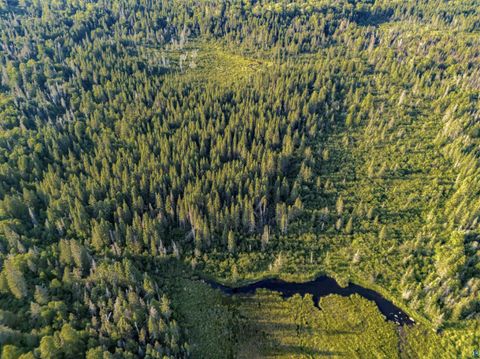 Tiny photo for TBD Hoist Lake Rd, Finland, MN 55603 (MLS # 6126975)