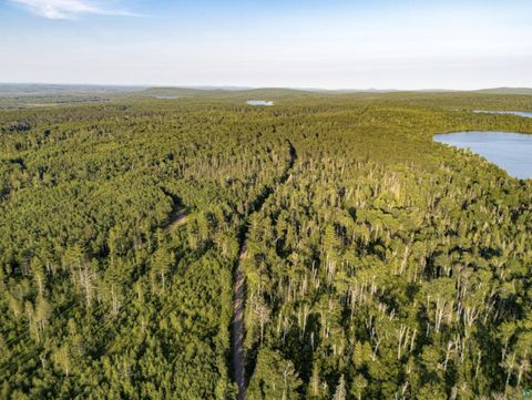 Tiny photo for TBD Hoist Lake Rd, Finland, MN 55603 (MLS # 6126975)