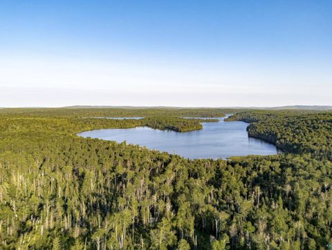 Tiny photo for TBD Hoist Lake Rd, Finland, MN 55603 (MLS # 6126975)
