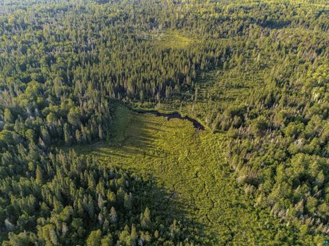 Tiny photo for TBD Hoist Lake Rd, Finland, MN 55603 (MLS # 6126975)
