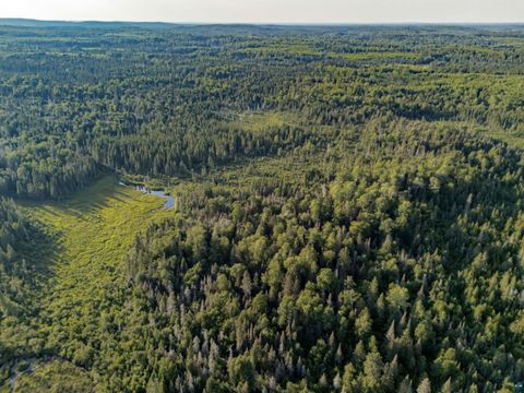 Tiny photo for TBD Hoist Lake Rd, Finland, MN 55603 (MLS # 6126975)
