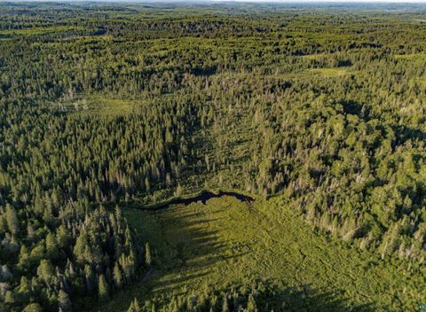 Tiny photo for TBD Hoist Lake Rd, Finland, MN 55603 (MLS # 6126975)