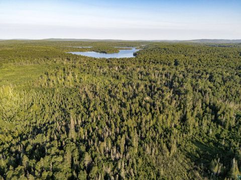Tiny photo for TBD Hoist Lake Rd, Finland, MN 55603 (MLS # 6126975)