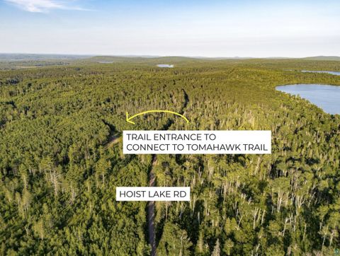 Tiny photo for TBD Hoist Lake Rd, Finland, MN 55603 (MLS # 6126975)