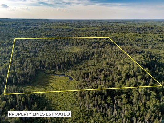 HOIST LAKE RD, FINLAND, MN 55603 - Image bebfc66cb7d2f6949b7c4fcdfb6cd79c/3552687402