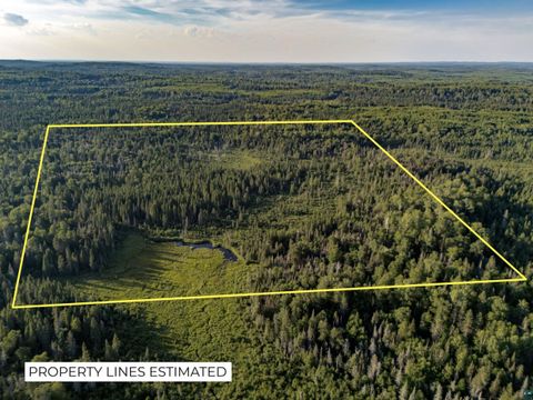 Photo of TBD Hoist Lake Rd, Finland, MN 55603 (MLS # 6126975)