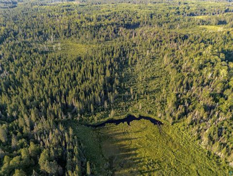 Tiny photo for TBD Hoist Lake Rd, Finland, MN 55603 (MLS # 6126975)
