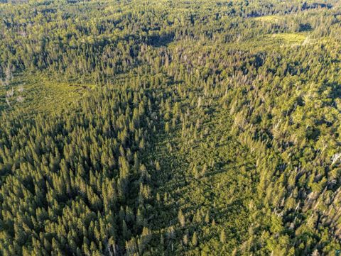 Tiny photo for TBD Hoist Lake Rd, Finland, MN 55603 (MLS # 6126975)