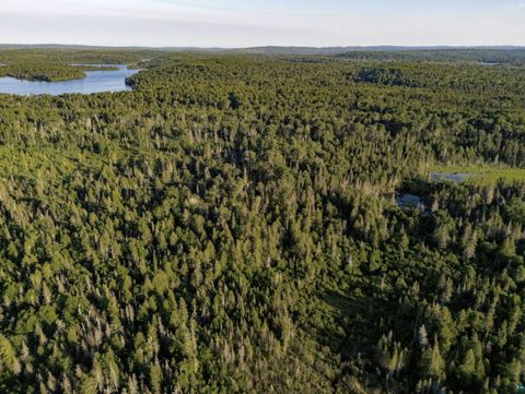 Tiny photo for TBD Hoist Lake Rd, Finland, MN 55603 (MLS # 6126975)