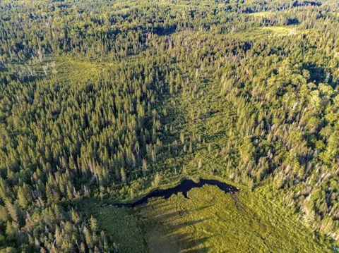 Tiny photo for TBD Hoist Lake Rd, Finland, MN 55603 (MLS # 6126975)