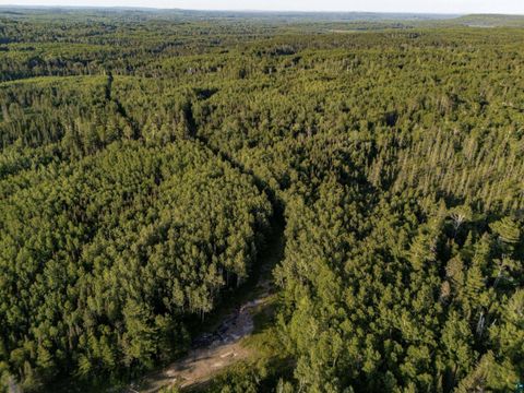 Tiny photo for TBD Hoist Lake Rd, Finland, MN 55603 (MLS # 6126975)