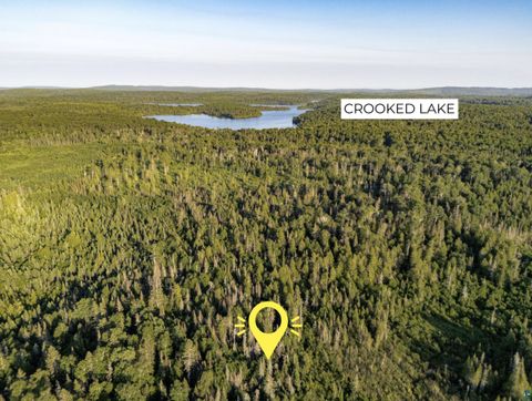 Tiny photo for TBD Hoist Lake Rd, Finland, MN 55603 (MLS # 6126975)