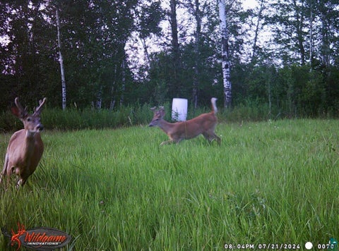 Tiny photo for TBD Silver Creek Rd, Kettle River, MN 55757 (MLS # 6127073)