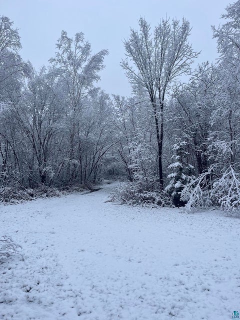 Tiny photo for TBD Silver Creek Rd, Kettle River, MN 55757 (MLS # 6127073)