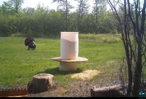 Tiny photo for TBD Silver Creek Rd, Kettle River, MN 55757 (MLS # 6127073)