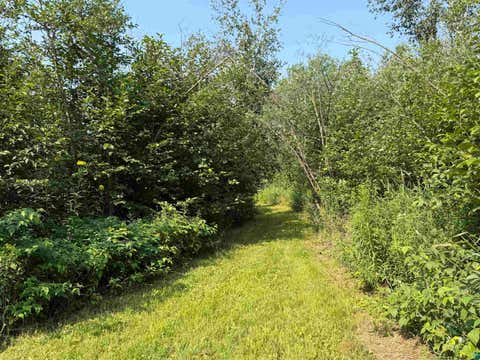 Tiny photo for TBD Silver Creek Rd, Kettle River, MN 55757 (MLS # 6127073)