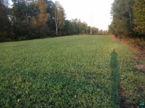 Tiny photo for TBD Silver Creek Rd, Kettle River, MN 55757 (MLS # 6127073)