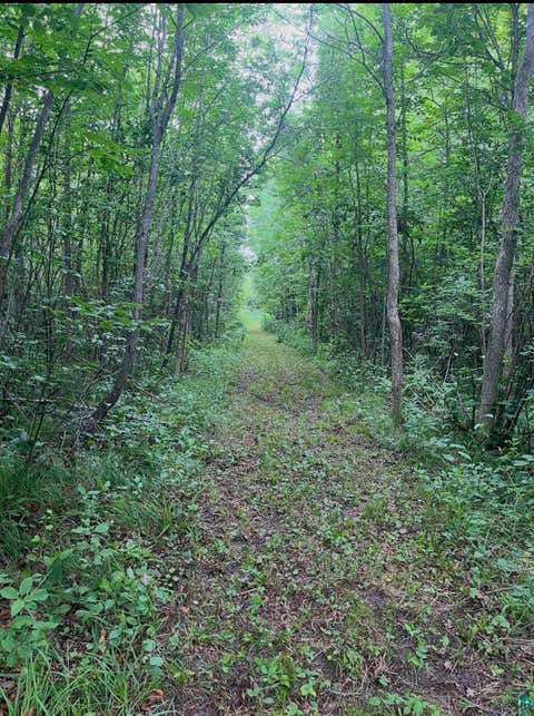 Tiny photo for TBD Silver Creek Rd, Kettle River, MN 55757 (MLS # 6127073)