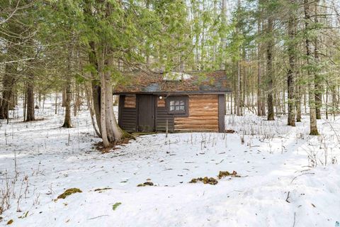 Tiny photo for 4437 Sunshine Lake Rd, Duluth, MN 55803 (MLS # 6124000)