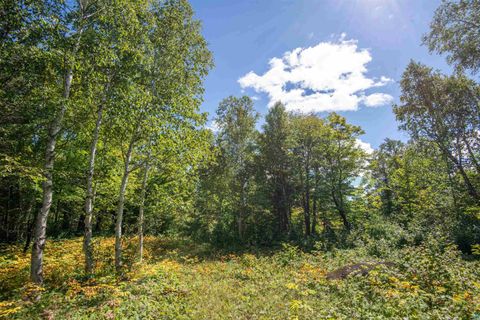 Tiny photo for 1808 Tom Lake Rd, Hovland, MN 55606 (MLS # 6125451)