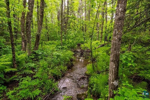 Tiny photo for 58 McQuade Rd, Duluth, MN 55803 (MLS # 6125982)