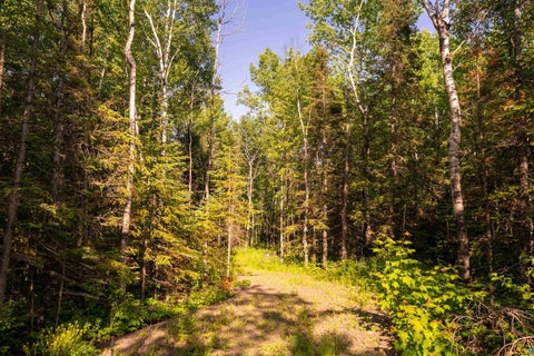 Tiny photo for 58 McQuade Rd, Duluth, MN 55803 (MLS # 6125982)