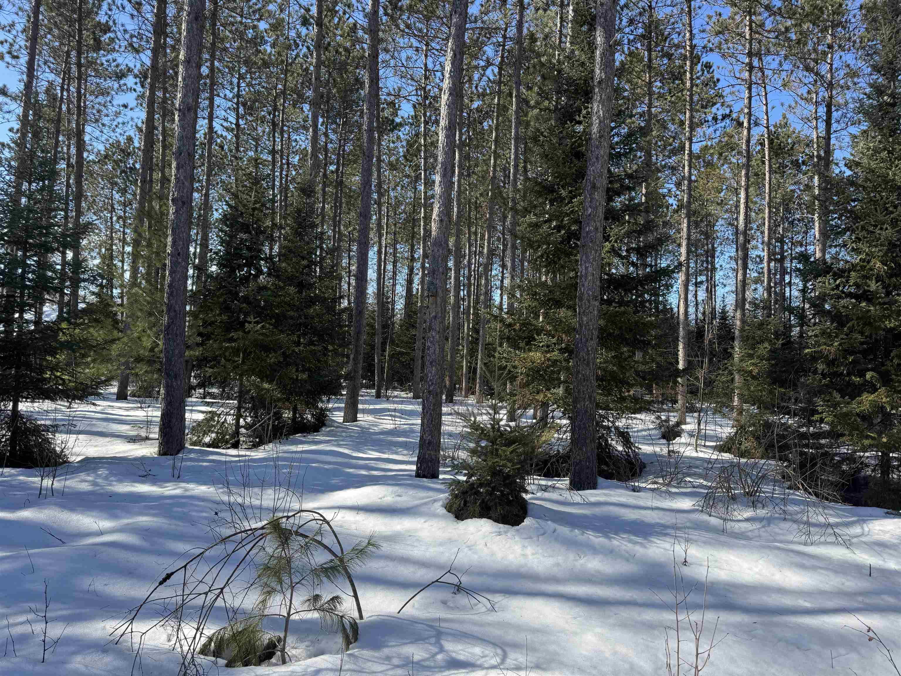 Lot 92 Haakon Ln