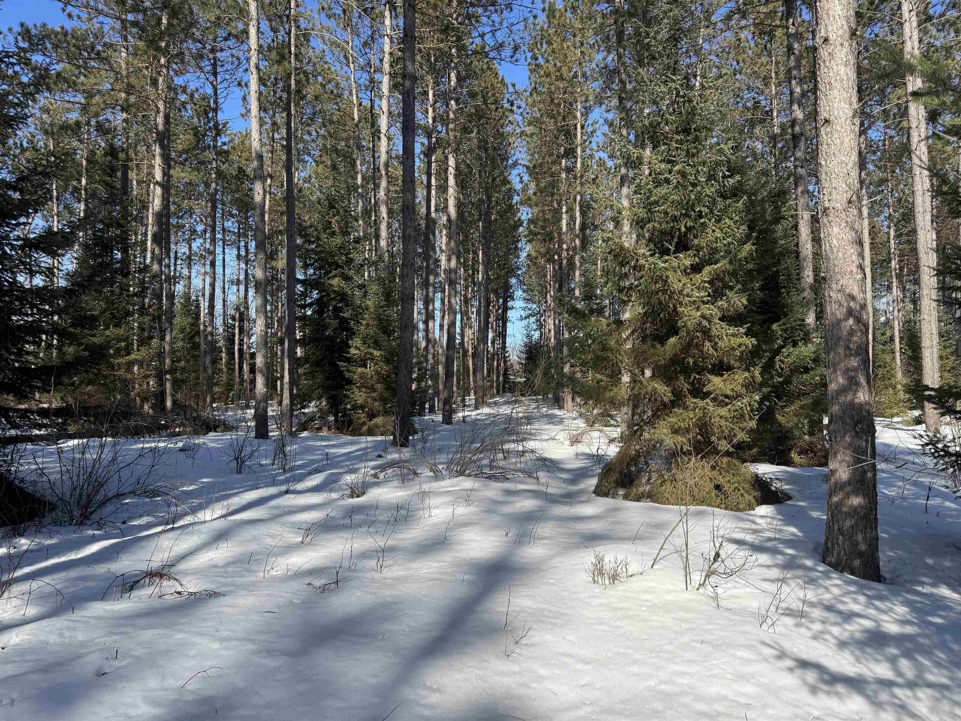 Lot 92 Haakon Ln