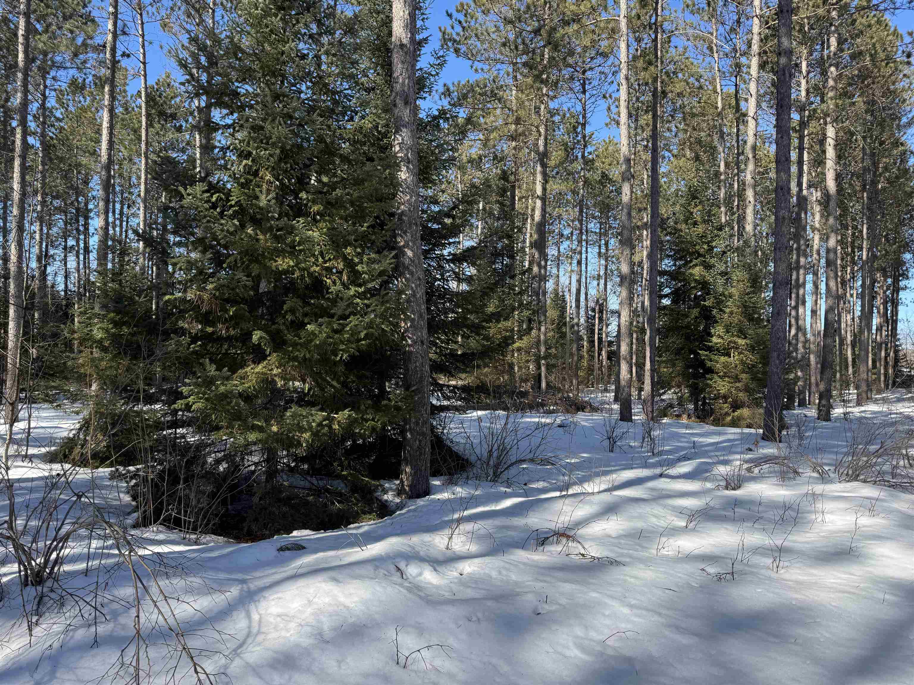 Lot 92 Haakon Ln