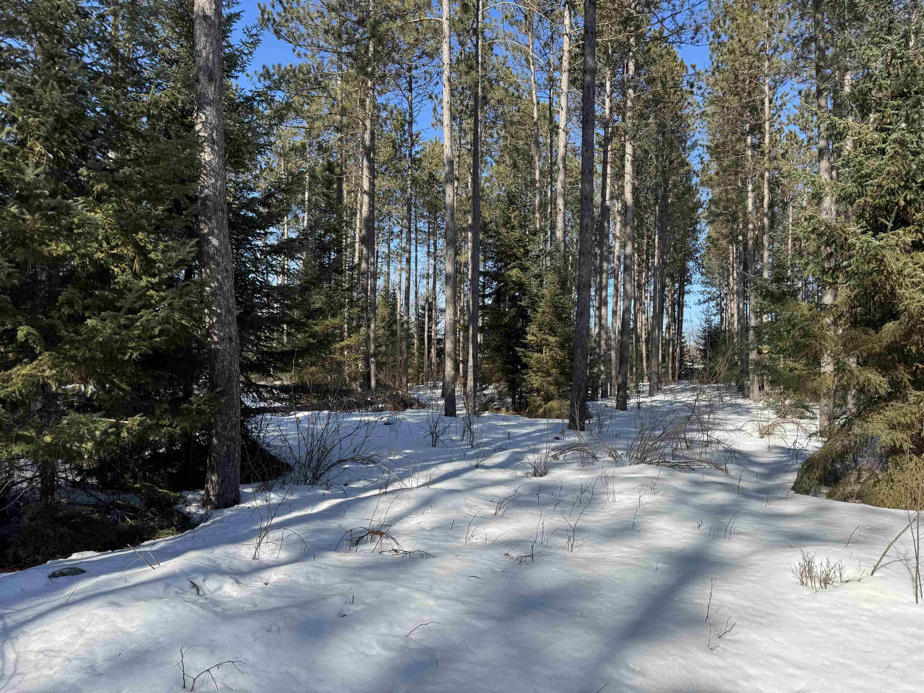 Lot 92 Haakon Ln
