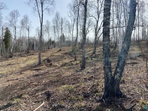Tiny photo for 21022 N Bear Lake Rd, Brimson, MN 55602 (MLS # 6125392)