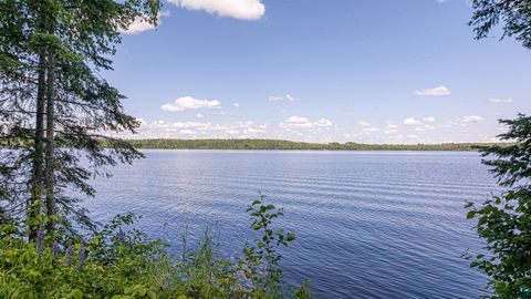 Tiny photo for 13321 Lodge Rd, Ely, MN 55731 (MLS # 6126443)