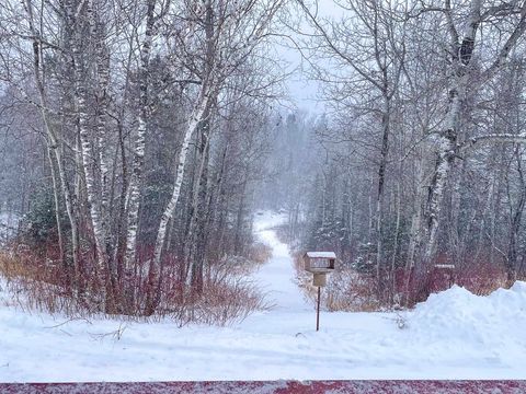 Tiny photo for 7115 Hwy 1, Finland, MN 55603 (MLS # 6123092)