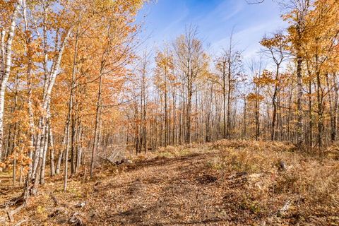 Tiny photo for xxx Amity Drive, Duluth, MN 55803 (MLS # 6123648)