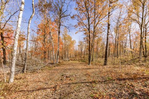 Tiny photo for xxx Amity Drive, Duluth, MN 55803 (MLS # 6123648)