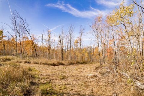 Tiny photo for xxx Amity Drive, Duluth, MN 55803 (MLS # 6123648)