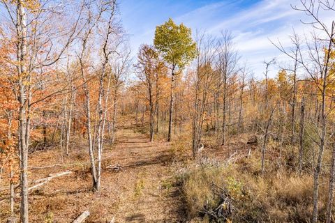 Tiny photo for xxx Amity Drive, Duluth, MN 55803 (MLS # 6123648)